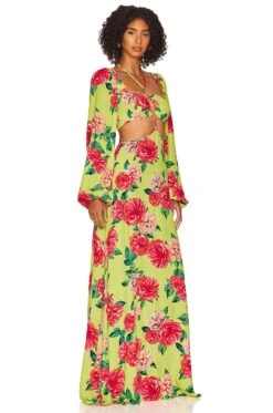 Bekah Maxi Dress Lime Rose Garden -Hot Sale Clothing Store AFFM WD156 V2