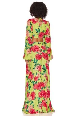 Bekah Maxi Dress Lime Rose Garden -Hot Sale Clothing Store AFFM WD156 V3