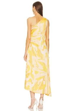 Brave Dress Sunlight -Hot Sale Clothing Store AXIS WD705 V3