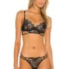 BLUEBELLA SOUTIEN-GORGE LUMI Black -Hot Sale Clothing Store BEBE WI140 V1