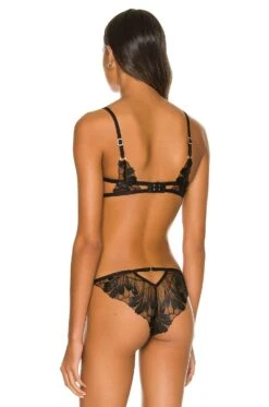BLUEBELLA Colette Bra Black 8 BLUEBELLA Colette Bra Black -Hot Sale Clothing Store BEBE WI244 V3
