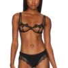 BLUEBELLA Nova Bra Black -Hot Sale Clothing Store BEBE WI349 V1